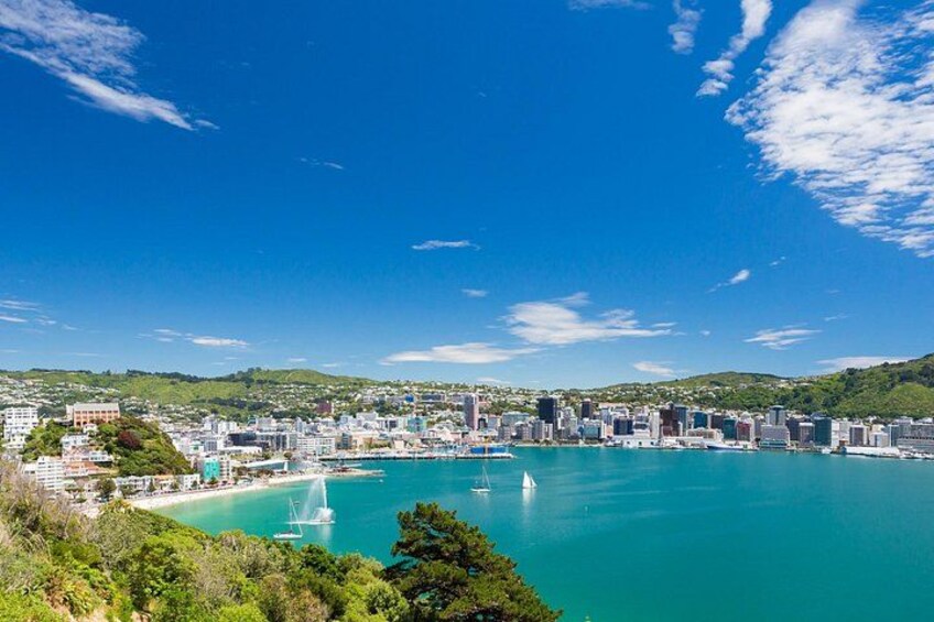 Wellington Lord of the Rings Private Shore Tour (3.5 Hours) 2