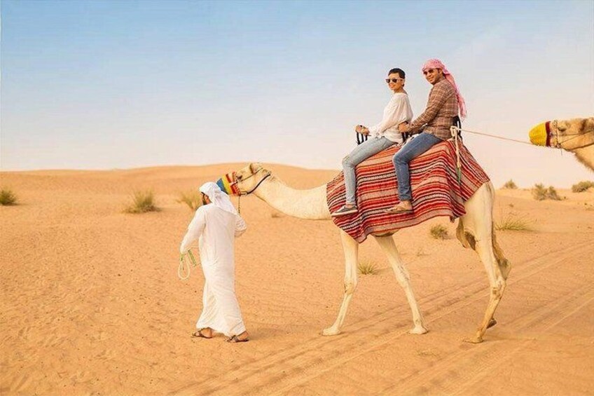 Premium Morning Desert Safari in Dubai with Luxury 4x4 Transfers 4