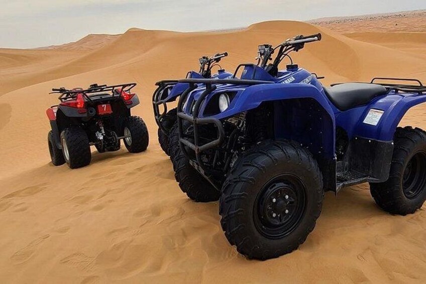 Premium Morning Desert Safari in Dubai with Luxury 4x4 Transfers 5