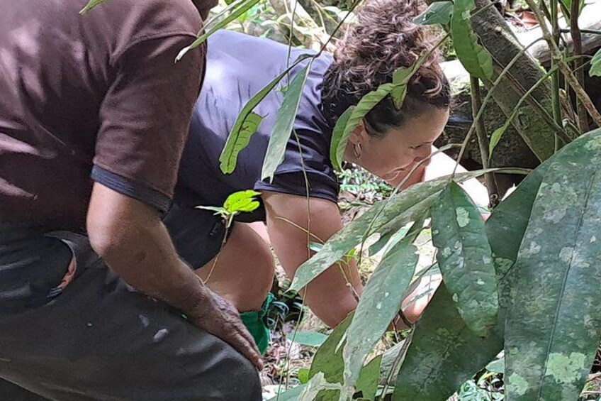 Two people crouching among dense foliage, possibly collecting or examining something. 2