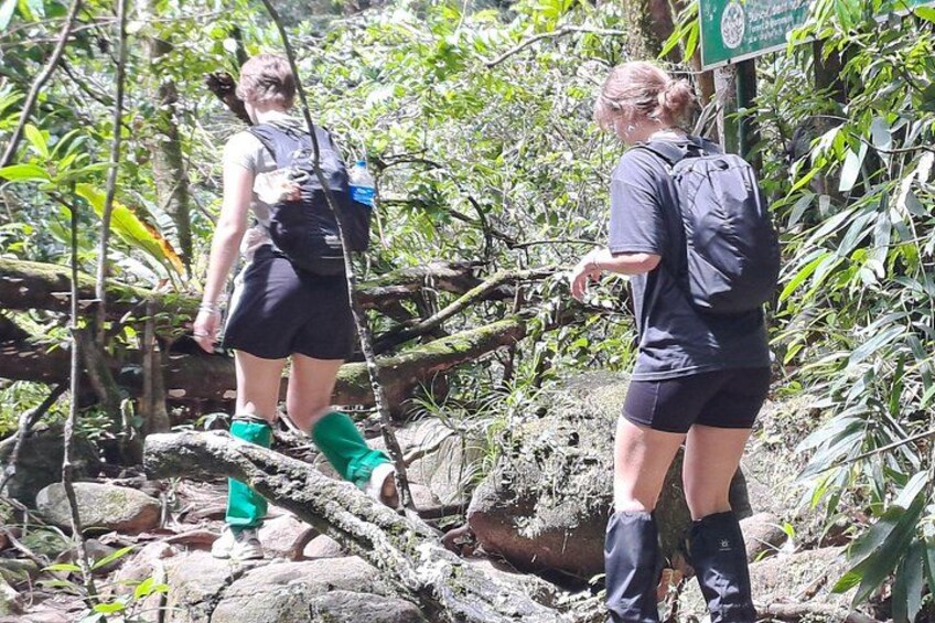 Two people hiking in a forested area with a fallen tree and a signpost. 3