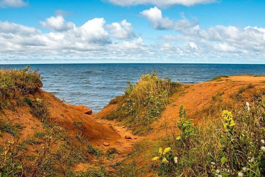 Luxury North Shore PEI Private Tour by Cyril for Up to 6 Guests 5