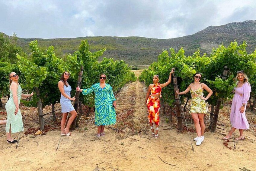 Constantia wine tasting 4