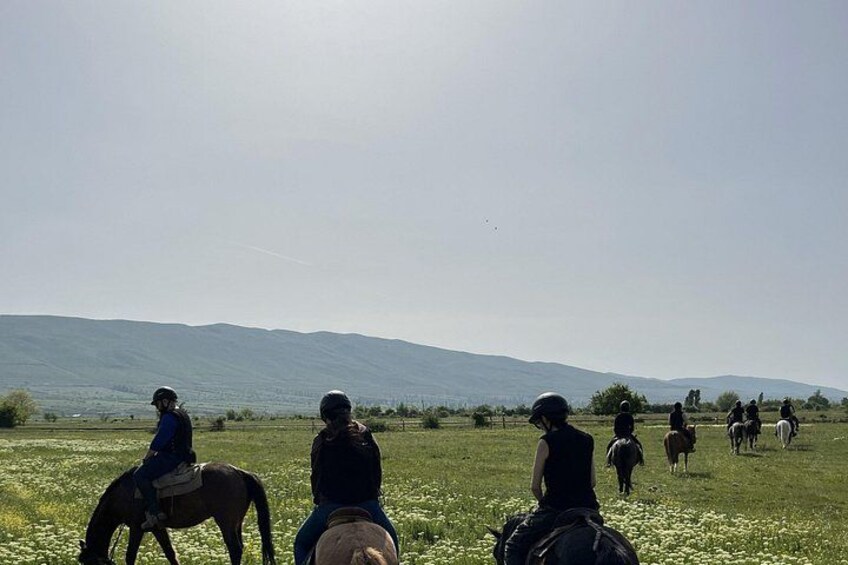 1 Hour Horse Riding Tour at Palomino Ranch 4