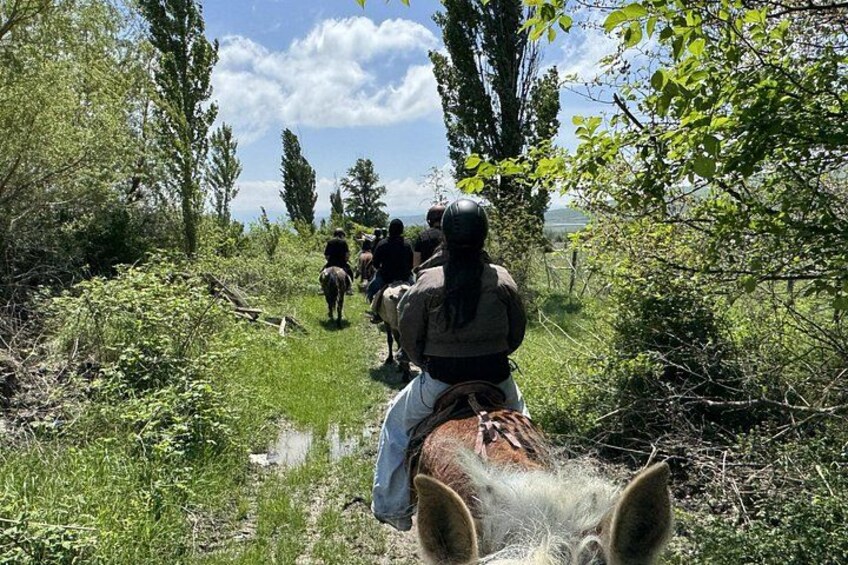 1 Hour Horse Riding Tour at Palomino Ranch 1