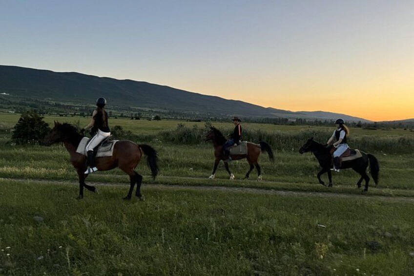 1 Hour Horse Riding Tour at Palomino Ranch 5