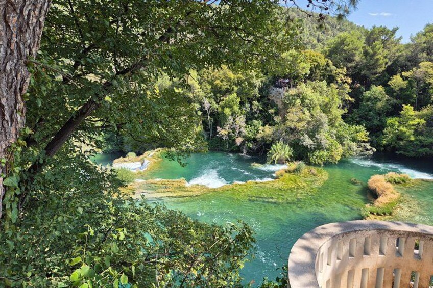 Une rivière aux eaux claires, bordée d’une végétation luxuriante et d’arbres. 5