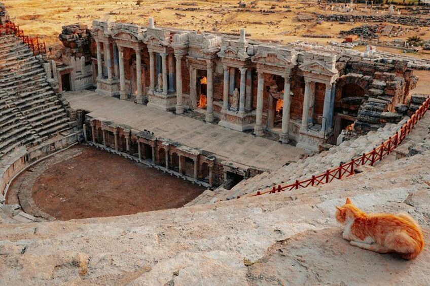 An ancient amphitheater with stone steps and columns, a fenced area, and a cat. 3
