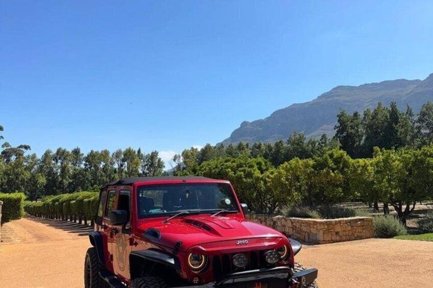 A red Jeep parked on a dirt road with vineyards and mountains in the background. 5