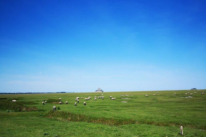 Mont Saint-Michel Day Trip from Bayeux (Shared tour) 2