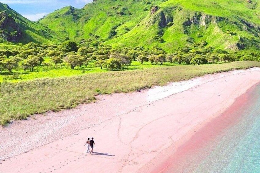 En strand med en person, grønne bakker i baggrunden og en klar himmel. 4