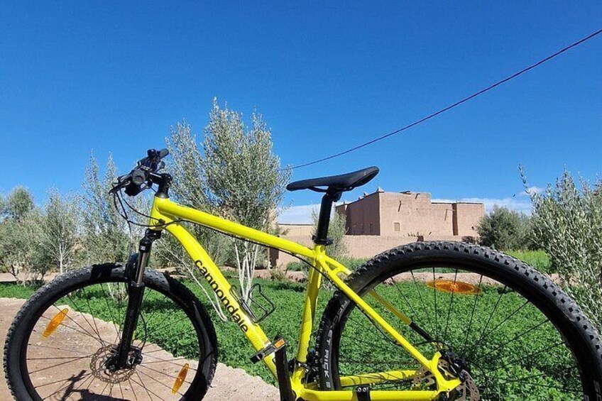 Bike Tour in Skoura with Pottery Experience 4