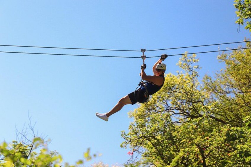A person zip-lining through a forest. 5