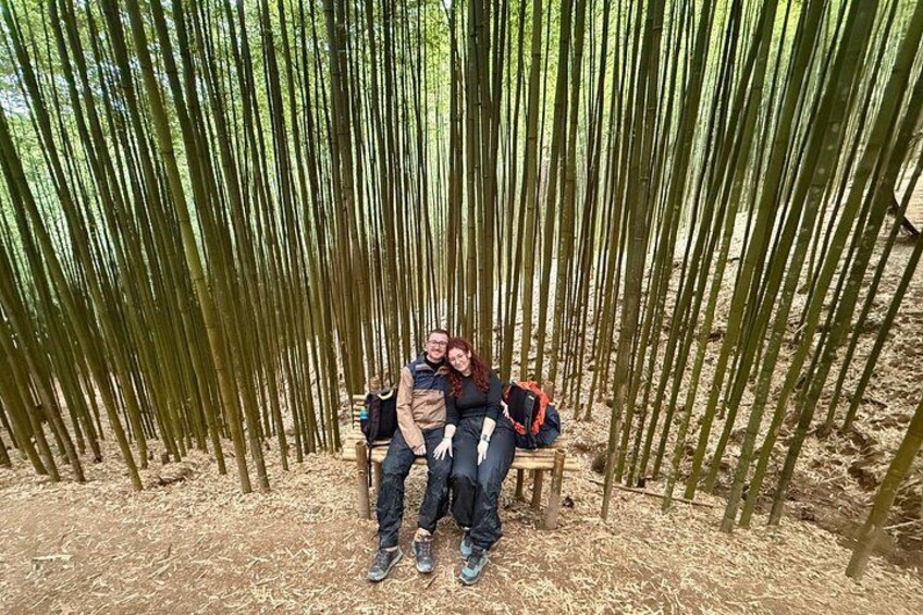 Deux personnes assises sur un banc dans une forêt de bambous. 2