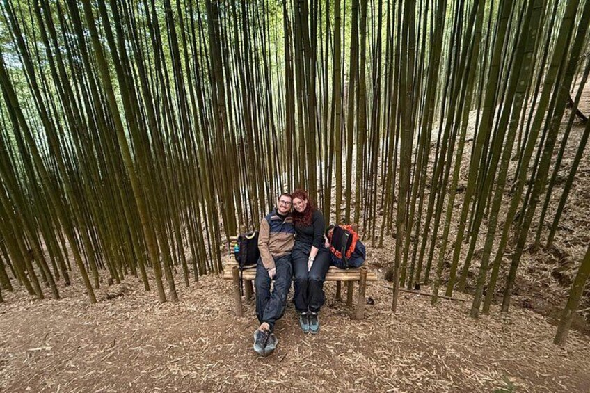 Deux personnes assises sur des bancs dans une forêt de bambous. 5