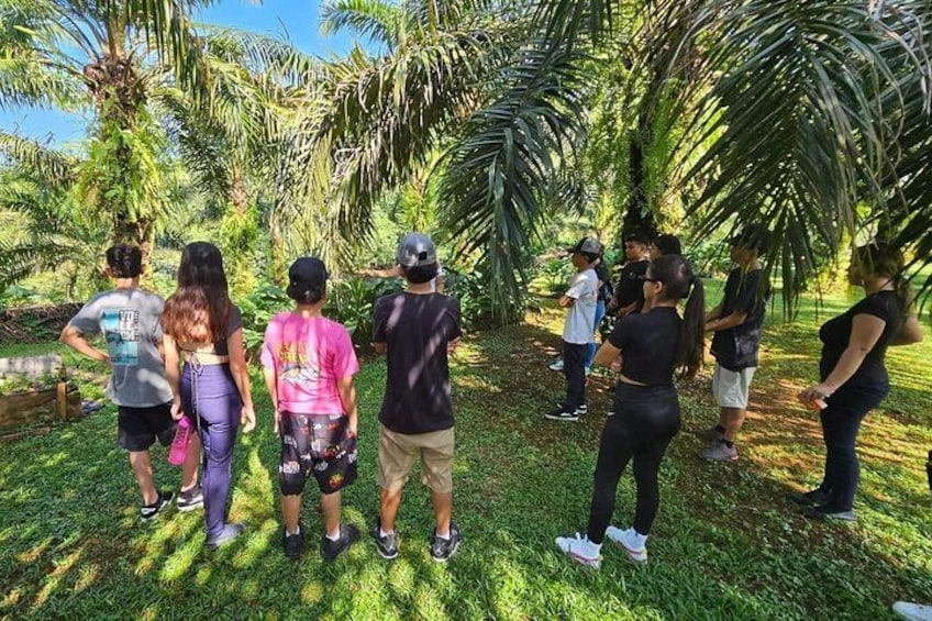 A group of people standing in a grassy area with palm trees in the background. 1
