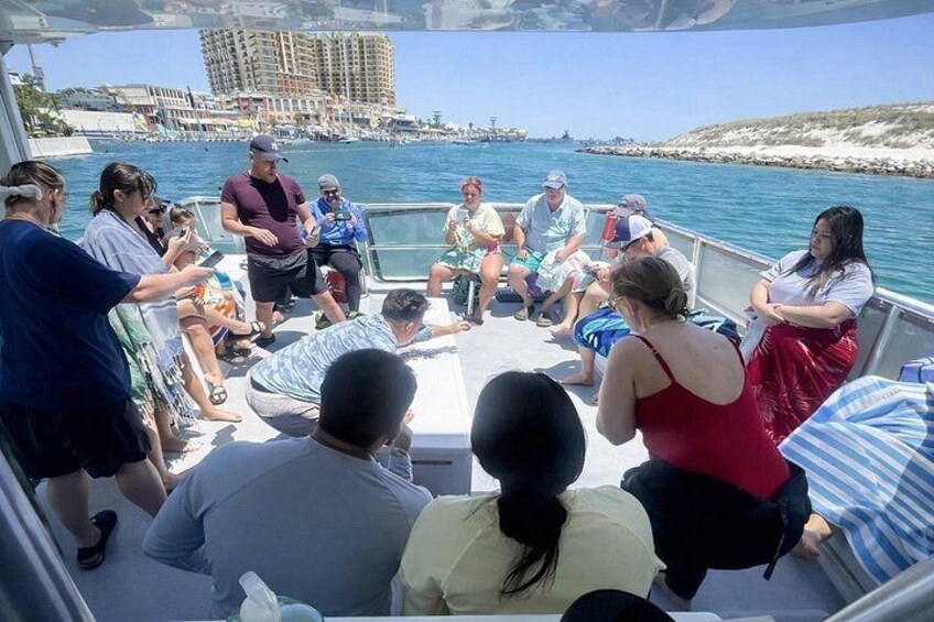 Shell Island Snorkel & Dolphin Tour from Panama City Beach 2