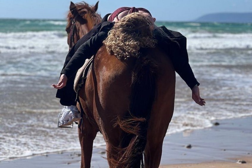 Un cheval avec un cavalier sur une plage près de l’océan. 2