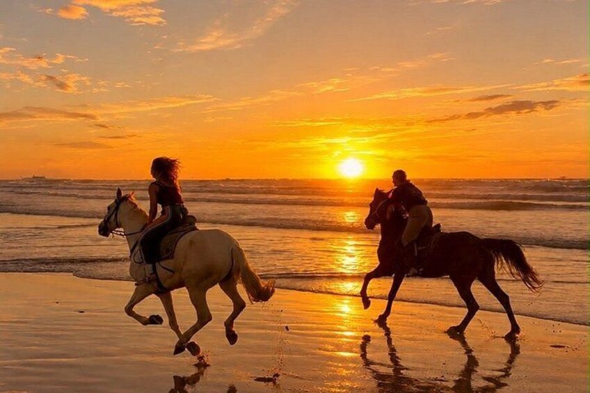 Agadir Horse Riding Experience on the Beach with Sunset Option 1