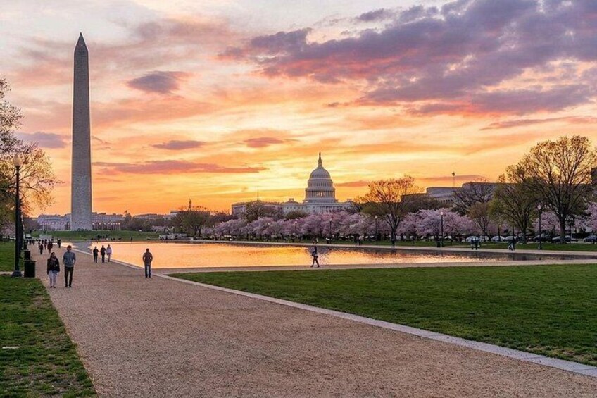 Discover Washington: A Self-Guided Tour 1