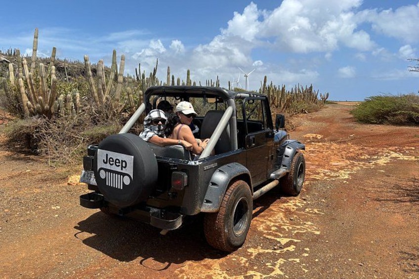 Un Jeep con dos personas, un paisaje desértico con cactus y cielo despejado. 1