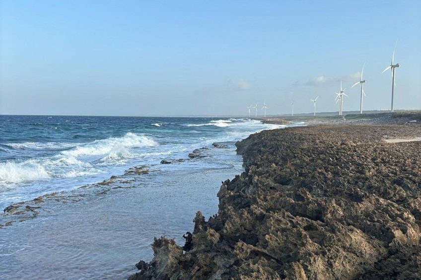 Une côte rocheuse où les vagues s’écrasent sur le rivage, avec des éoliennes visibles au loin. 2