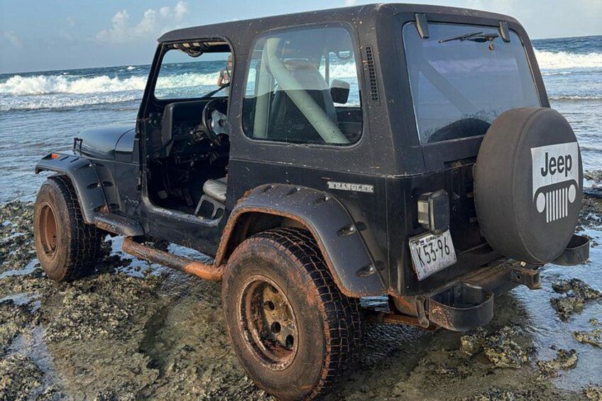 Private Jeep Safari: Swim with Turtles & West Coast Beaches 4