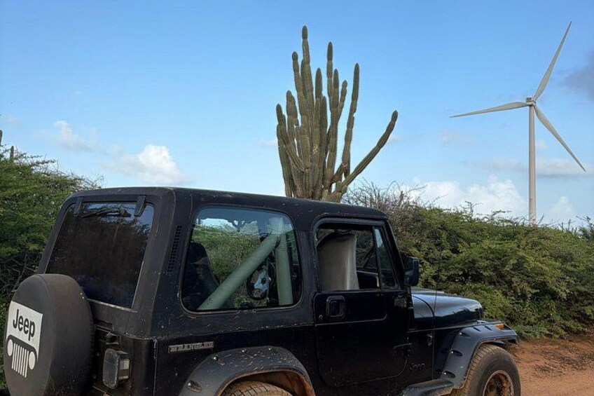 Private Jeep Safari: Swim with Turtles & West Coast Beaches 3