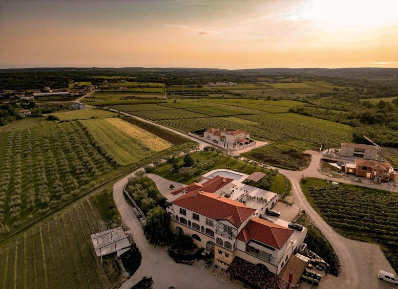 An aerial view of a vineyard with rows of grapevines, a large estate with a red-tiled roof, and a partially constructed building. 5