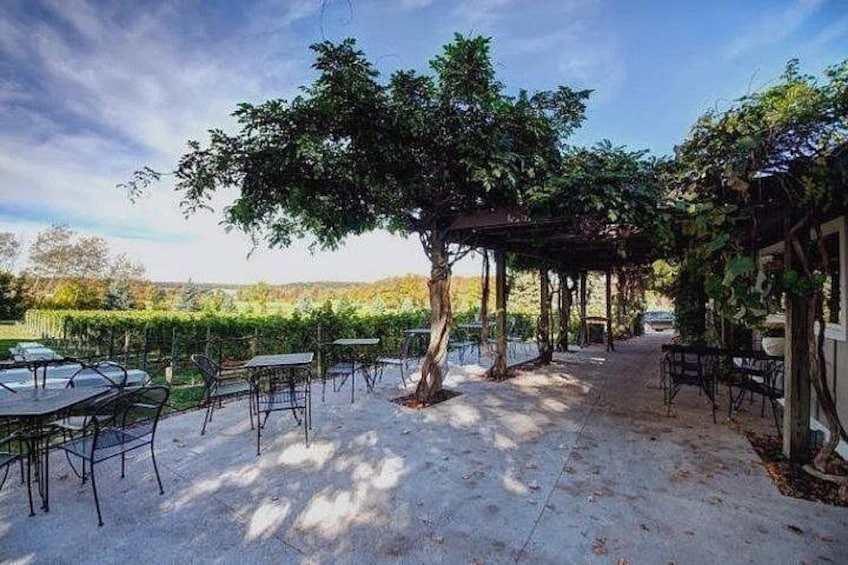 4-Hour Traverse City Sunset Wine Tour: 3 Wineries on Old Mission Peninsula 2