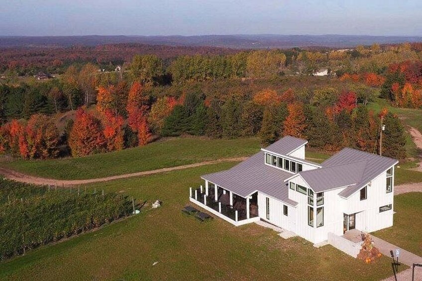 4-Hour Traverse City Sunset Wine Tour: 3 Wineries on Old Mission Peninsula 2