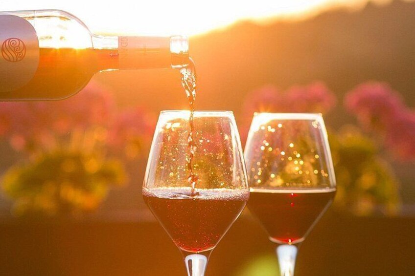 4-Hour Traverse City Sunset Wine Tour: 3 Wineries on Old Mission Peninsula 3