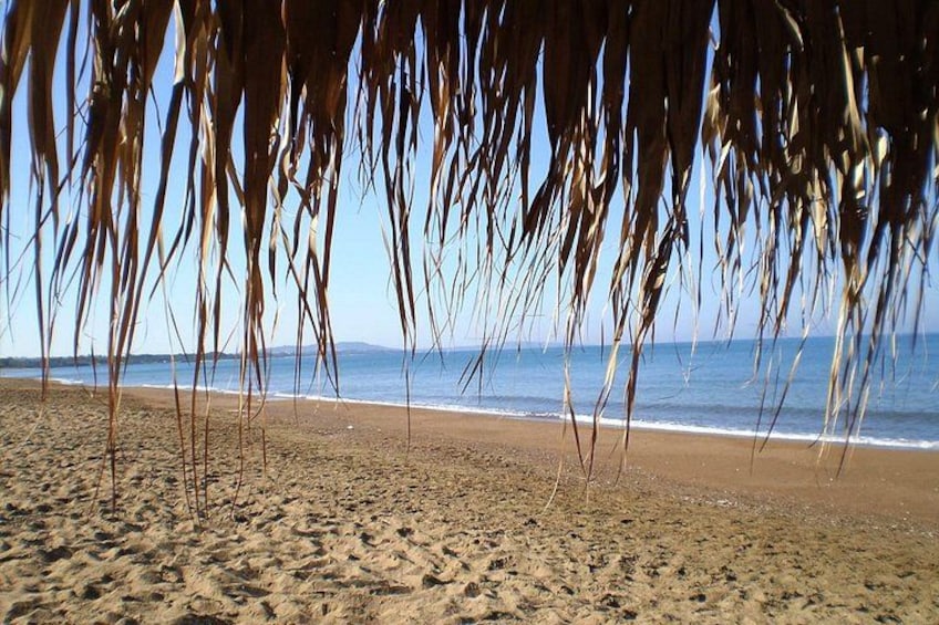 A beach with sand, ocean, and palm leaves. 2