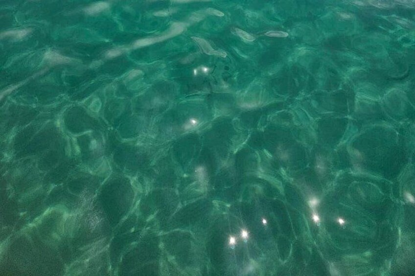 Water of Campeche Island, 3m deep 5