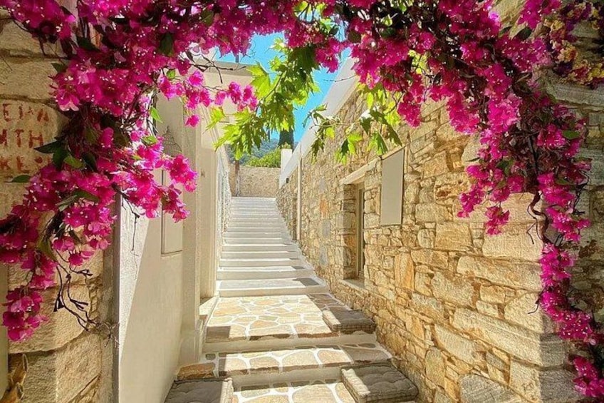 Een stenen trap begrensd door muren met bougainvillea. 1