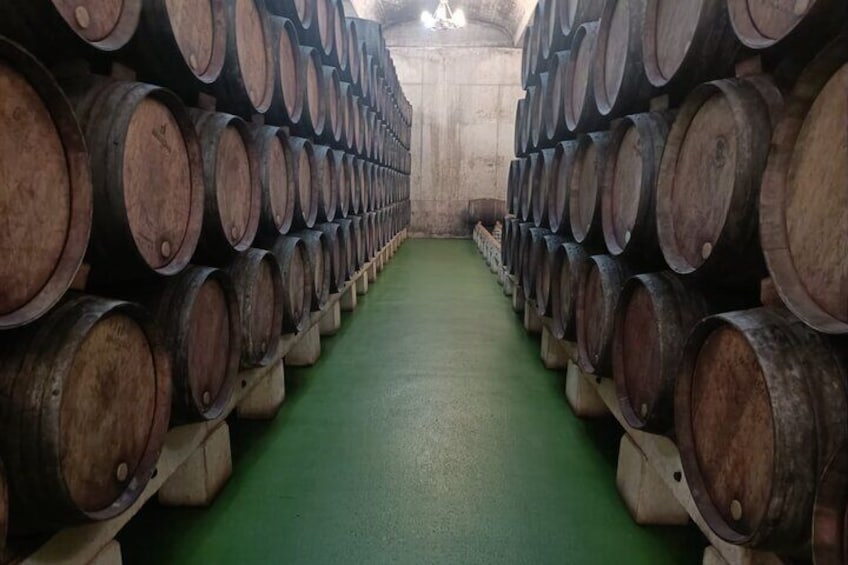 winery 5