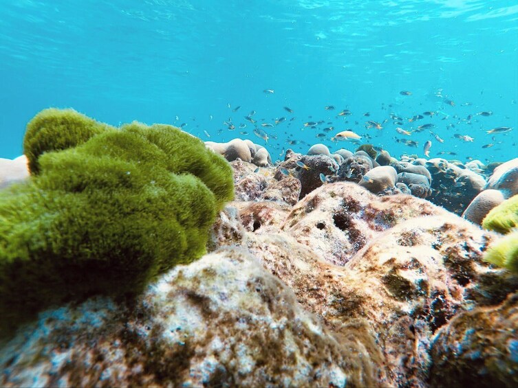Krabi: Luxury Sunset Cruise to Phi Phi & 4 Islands with Power Catamaran 5