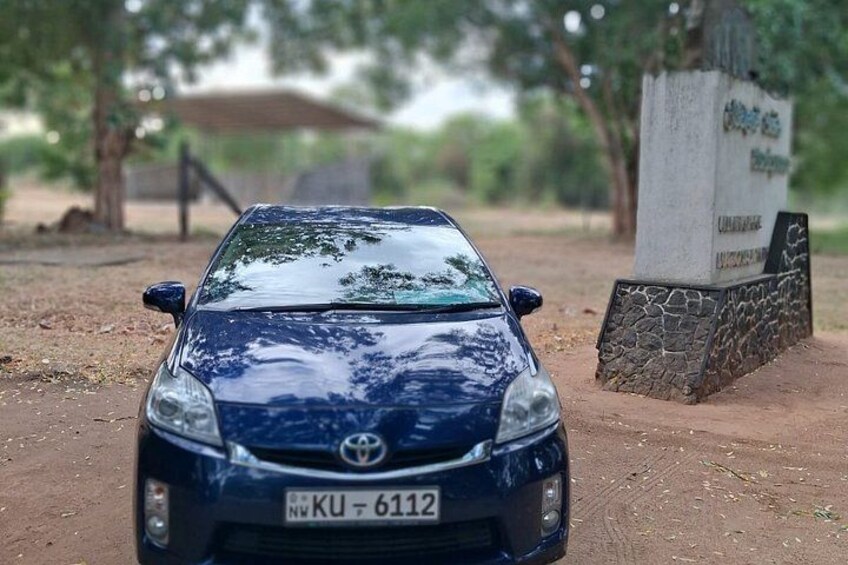 Udawalawe Safari with Private Transfer from Ella to Mirissa 5