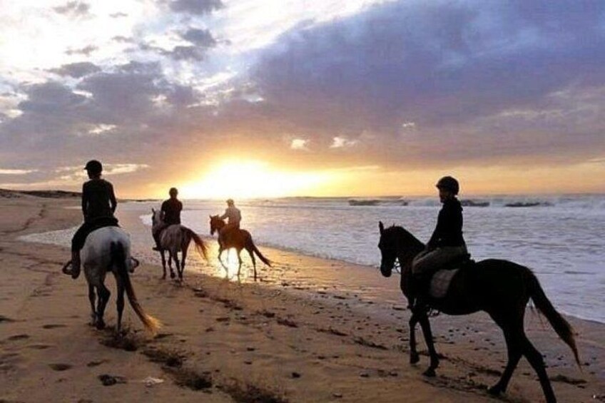 Horse riding 5