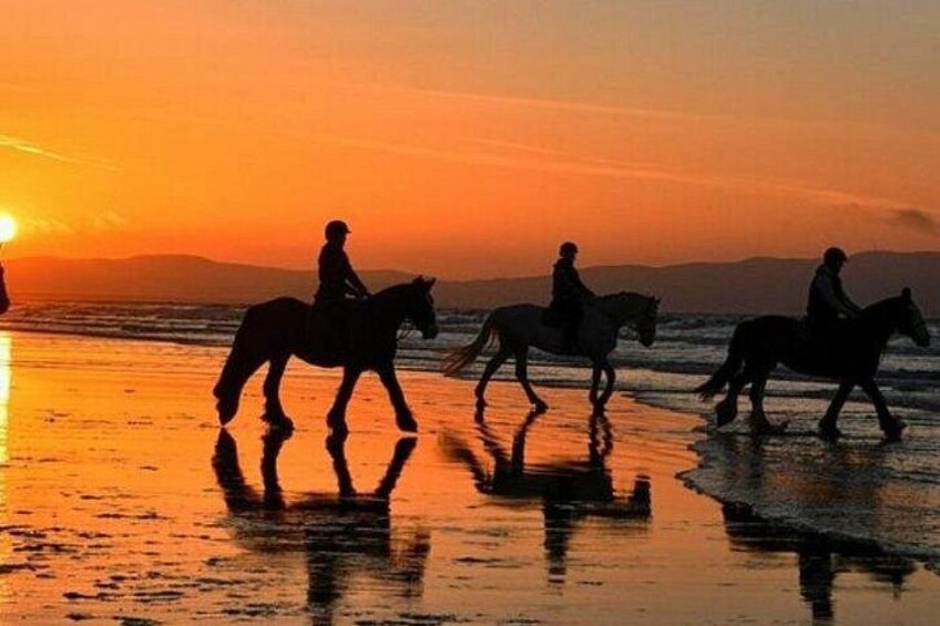 Horse riding 2