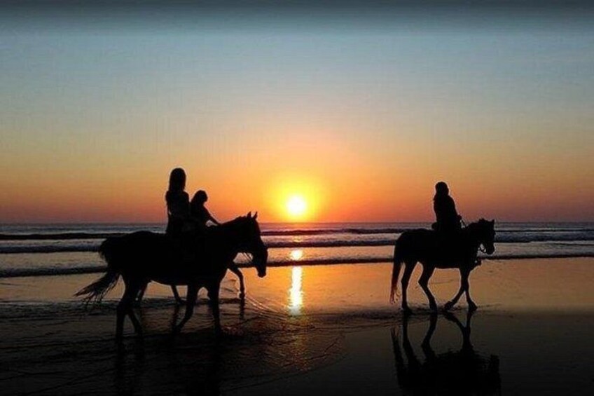 Horse riding 1