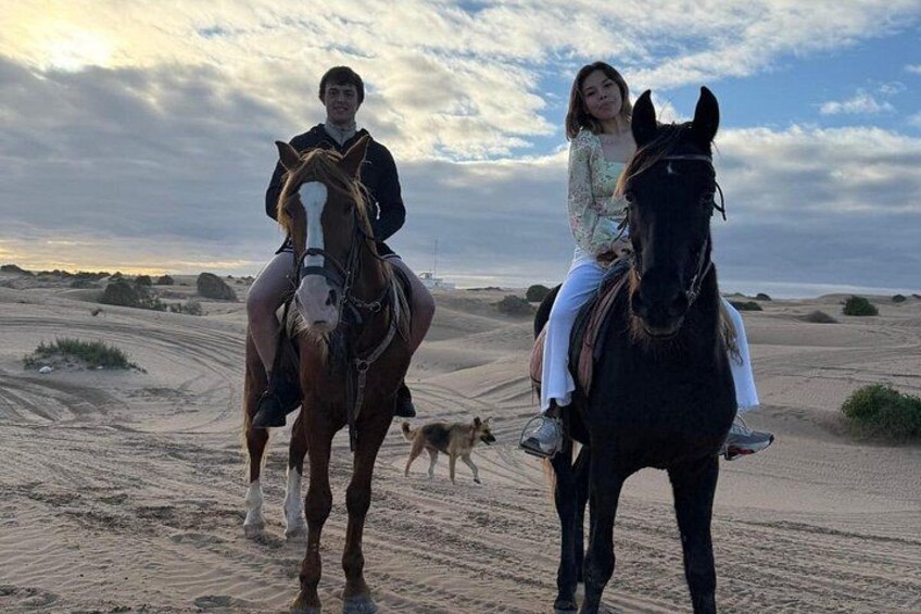 Horse riding 4