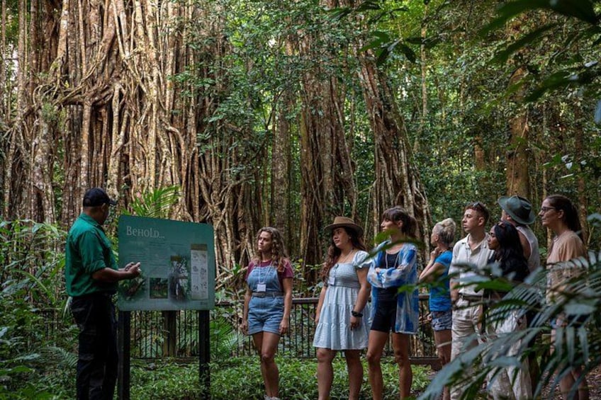 A group of people standing in a forest with a guide presenting information on a signboard. 4