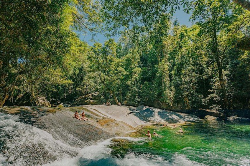A river with clear water, surrounded by dense green forest. 2