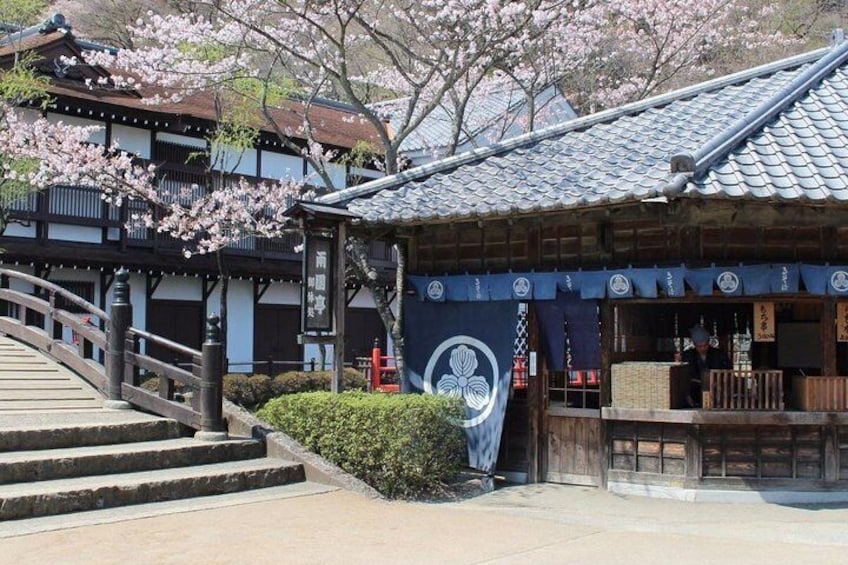 Edo Wonderland Nikko Edomura Admission Ticket 3