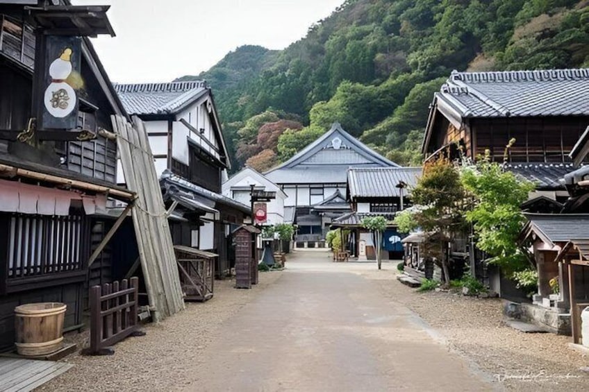 Edo Wonderland Nikko Edomura Admission Ticket 2