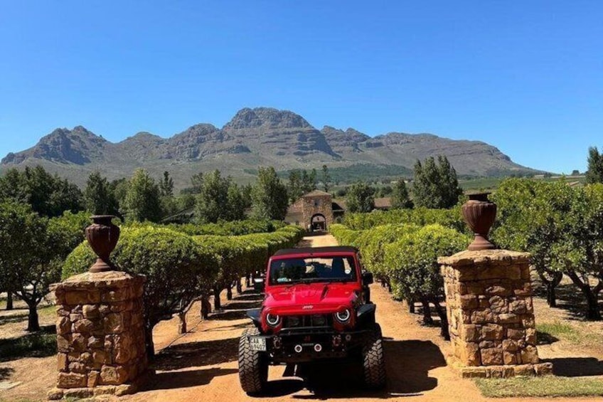 Un vehículo todoterreno rojo en un sendero de viñedo, con montañas al fondo. 5