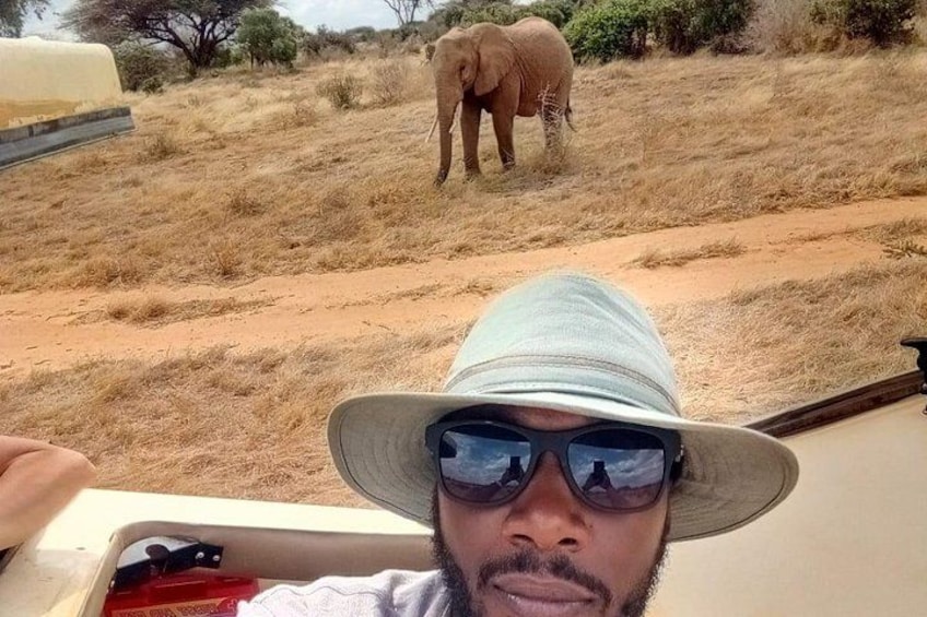 A person in a safari vehicle with a hat, an elephant in the background, and dry grassland. 3