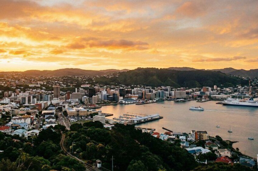 Private Self-Guided Tour to Wellington 2