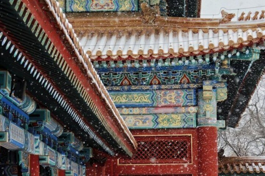 Forbidden City Hidden Route – Tickets & 8‑Language Guide 4